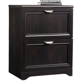 Realspace Outlet Magellan 24"W 2-Drawer Lateral File Cabinet, Espresso