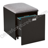 (Scratch & Dent) See Jane Work Outlet Kate File Cabinet/Seat, 18-1/2"H x 15-3/8"W x 18-1/8"D, Black/Gray