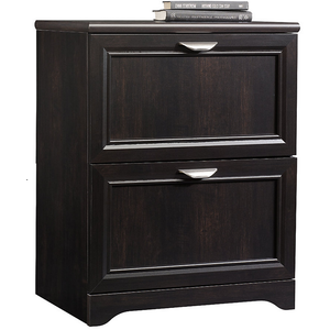(Scratch & Dent) Realspace Outlet Magellan 24"W 2-Drawer Lateral File Cabinet, Espresso