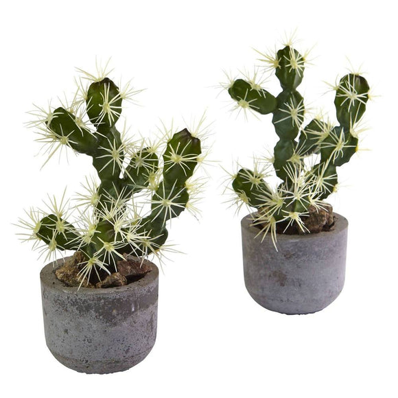 10” Cactus Potted, Set of 2