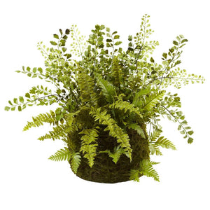 Mixed Fern w/ Twig and Moss Basket