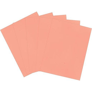 Pastel Multipurpose Paper, 20 lbs, 8.5" x 11", Salmon (Case or Ream)