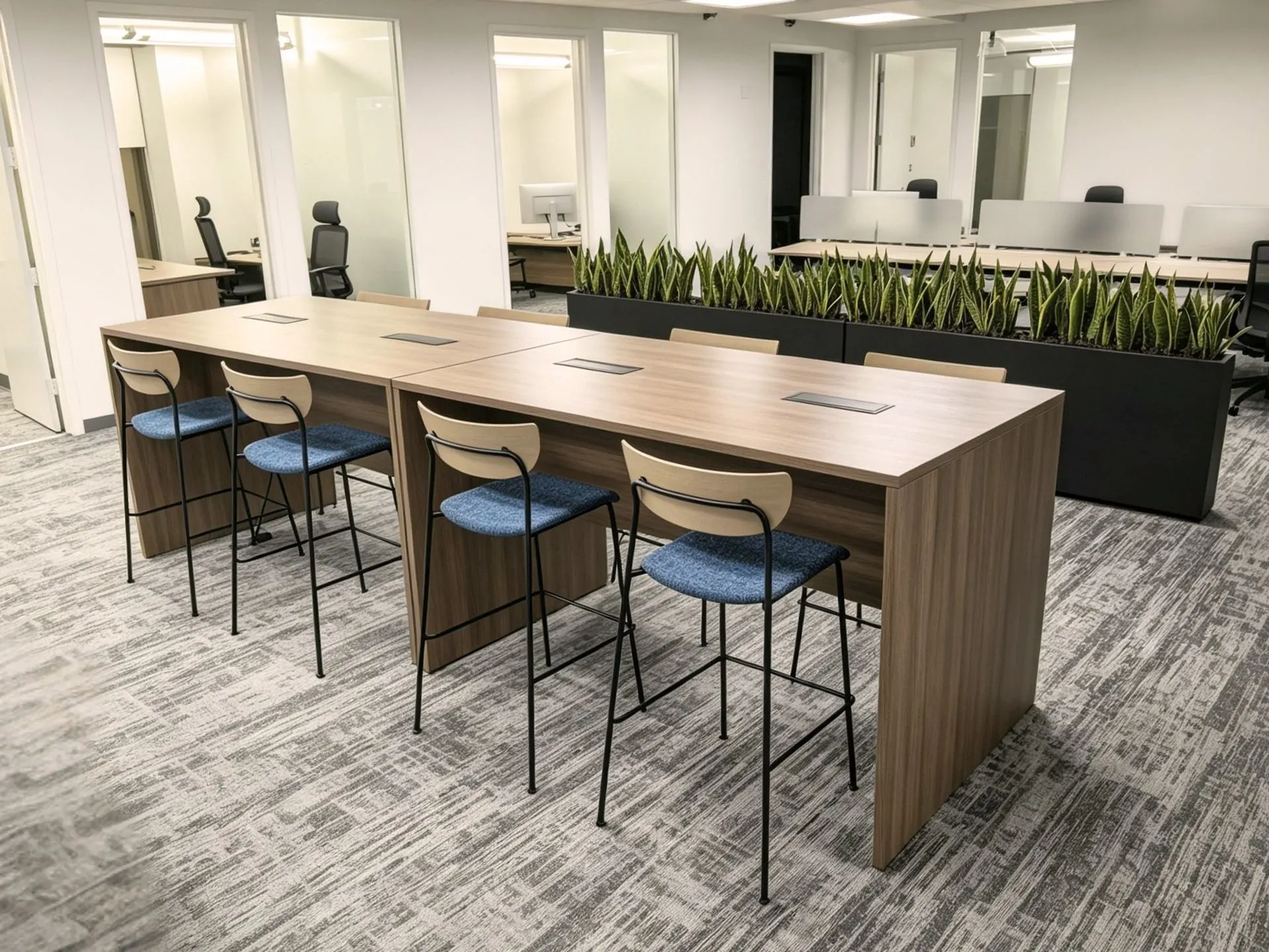 Collaborative area